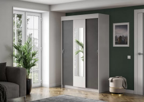 Шкаф-купе Бассо в Пангоды - pangody.mebel-tymen.ru | фото