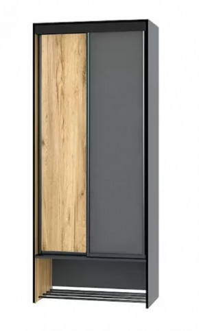 Шкаф-купе без зеркала Ольга-Лофт 10.1 в Пангоды - pangody.mebel-tymen.ru | фото