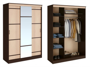 Шкаф-купе Сакура в Пангоды - pangody.mebel-tymen.ru | фото