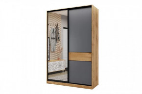 Шкаф-купе SLIM двухдверный BS15-6.ZD в Пангоды - pangody.mebel-tymen.ru | фото