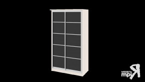 Шкаф-купе «Стэн» СМ-140.01.001 в Пангоды - pangody.mebel-tymen.ru | фото