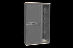 Шкаф многоцелевой ШК-1082 Карина в Пангоды - pangody.mebel-tymen.ru | фото