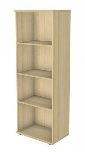 Шкаф многоцелевой ШК-1088 Карина в Пангоды - pangody.mebel-tymen.ru | фото