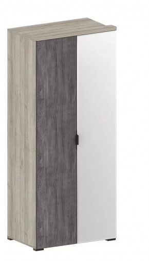 Шкаф Шаде ШК-2903 в Пангоды - pangody.mebel-tymen.ru | фото