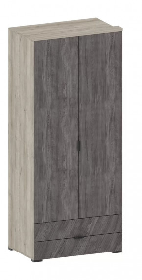 Шкаф Шаде ШК-2905 в Пангоды - pangody.mebel-tymen.ru | фото