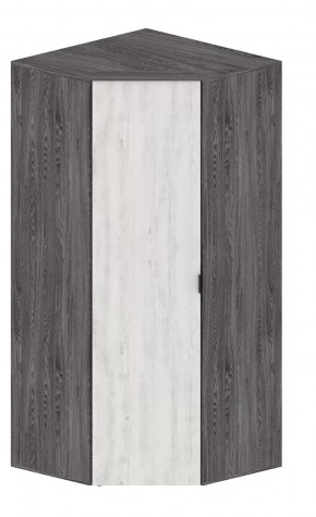 Шкаф Шаде ШК-2910 в Пангоды - pangody.mebel-tymen.ru | фото