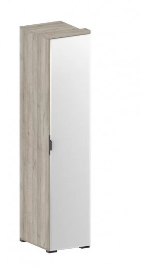 Шкаф Шаде ШК-2912 в Пангоды - pangody.mebel-tymen.ru | фото