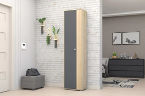 Шкаф ШК-01 Монако в Пангоды - pangody.mebel-tymen.ru | фото