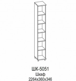 Шкаф ШК-5051 Грейс в Пангоды - pangody.mebel-tymen.ru | фото