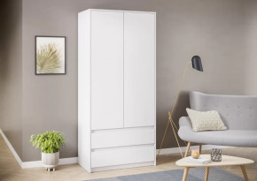 Шкаф ШК06-900 Айден Белое дерево в Пангоды - pangody.mebel-tymen.ru | фото
