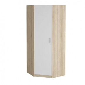 Шкаф угловой "Салоу" 900 в Пангоды - pangody.mebel-tymen.ru | фото