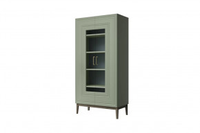 Шкаф Витрина ШР-2 Гориция Зелёный самшит в Пангоды - pangody.mebel-tymen.ru | фото