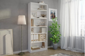 Стеллаж Бильд в Пангоды - pangody.mebel-tymen.ru | фото