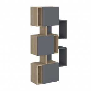 Стеллаж Дублин в Пангоды - pangody.mebel-tymen.ru | фото