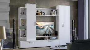 Стенка «Дакота» Белый Ясень в Пангоды - pangody.mebel-tymen.ru | фото