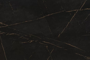 Стеновая панель №73, 3000*600*6 мм, каспий черное золото в Пангоды - pangody.mebel-tymen.ru | фото