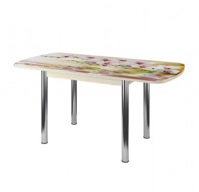 Стол Бостон-3 раздвижной, фотопечать Орхидея на воде/венге/хром брифинг в Пангоды - pangody.mebel-tymen.ru | фото