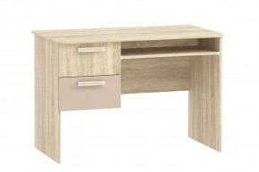 Стол для компьютера НМ 009.19-05 М2 Акварель в Пангоды - pangody.mebel-tymen.ru | фото