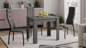 Стол обеденный «Промо» тип 1 Серый графит в Пангоды - pangody.mebel-tymen.ru | фото