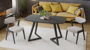 Стол обеденный «TESCA 2» Графит, Стекло графит матовое в Пангоды - pangody.mebel-tymen.ru | фото