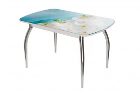 Стол овальный Бостон-2 Белая орхидея, 1100*700 мм, хром триумф в Пангоды - pangody.mebel-tymen.ru | фото