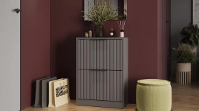 Тумба для обуви «Хилтон» Исп.2 Серый графит, Графит матовый в Пангоды - pangody.mebel-tymen.ru | фото