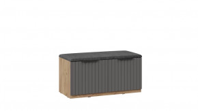 Тумба для обуви «Хилтон» Исп.2.2 Дуб Крафт золотой, Графит матовый в Пангоды - pangody.mebel-tymen.ru | фото