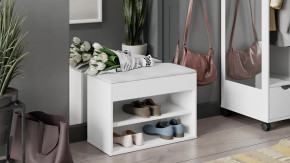 Тумба для обуви «Лайт» Тип 1 Белый глянец в Пангоды - pangody.mebel-tymen.ru | фото