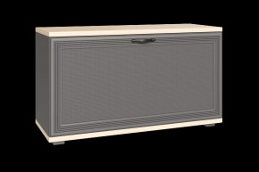 Тумба для обуви ТБ-1041 Карина в Пангоды - pangody.mebel-tymen.ru | фото