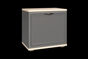 Тумба для обуви ТБ-1042 Карина в Пангоды - pangody.mebel-tymen.ru | фото