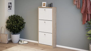 Тумба для обуви «Тетра» Тип 1 Исп. 2 в Пангоды - pangody.mebel-tymen.ru | фото