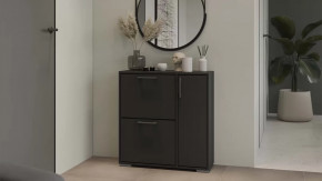 Тумба для обуви Тип 15 Антрацит в Пангоды - pangody.mebel-tymen.ru | фото