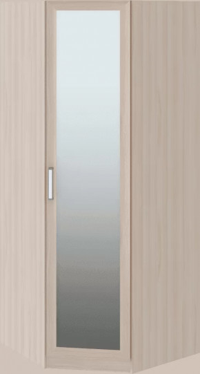 Волкер подростковая М01 Шкаф угловой в Пангоды - pangody.mebel-tymen.ru | фото