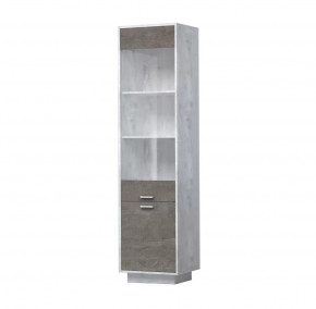 ЭГО ПС-1 Пенал с 2 дверьми 500 мм Диал в Пангоды - pangody.mebel-tymen.ru | фото